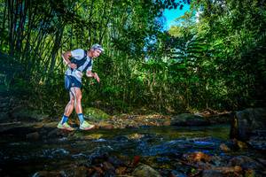 BIB: 
                            <button type="button" onclick="openModal(21764667)" class="btn btn-primary btn-sm float-right btn-popup" data-toggle="modal" data-target=".modal-high-quality">
                        <i class="fas fa-shopping-cart"></i> Add to Cart
                    </button>
                                            <button type="button" onclick="isThisMe(21764667, true)" class="btn btn-success btn-sm float-right btn-popup btn-isme hidden" data-toggle="tooltip" data-placement="bottom" title="นี่คือรูปของคุณใช่ไหม คลิกที่นี่เพื่อเอาเข้าอัลบั้ม">
                        <i class="fas fa-plus"></i> Add to album
                    </button>
                    <button type="button" onclick="isThisMe(21764667, false)" class="btn btn-warning btn-sm float-right btn-popup btn-isnotme hidden">
                        <i class="fas fa-ban"></i> Remove from album
                    </button>